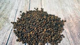 Lực mua chững lại khiến giá tiêu giữ mức 142.000 đồng/kg