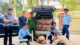 Phát huy thành quả, vững bước cùng ngành Công Thương vào nhiệm kỳ mới