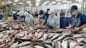 Xuất khẩu thủy sản tăng mạnh nhất ở thị trường Brazil