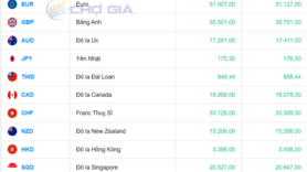 Tỷ giá USD hôm nay 14/10/2025: Đồng USD phục hồi nhẹ