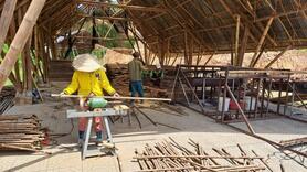 Ngành tre Việt Nam: Thách thức chuyển đổi từ cây nguyên liệu sang cây tỷ đô