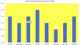 Giá heo hơi hôm nay 5/11/2025: Không ghi nhận đợt điều chỉnh mới