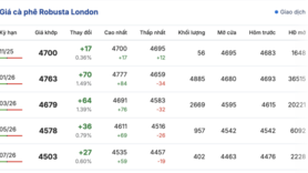 Giá cà phê hôm nay 5/11/2025: Bất ngờ tăng mạnh
