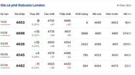 Giá cà phê hôm nay 6/11/2025: Giảm nhẹ cục bộ