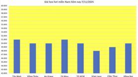 Giá heo hơi hôm nay 7/11/2025: Tiếp tục giảm nhẹ