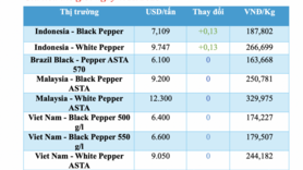 Giá tiêu hôm nay 7/11/2025: Cao nhất 147.000 đồng/kg