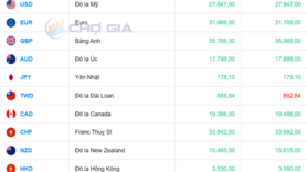 Tỷ giá USD hôm nay 7/11/2025: Giảm trên thế giới, chợ đen tăng mạnh