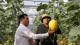 Khoa học công nghệ tạo sức bật để HTX tăng trưởng đột phá