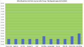Giá heo hơi hôm nay 12/11/2025: Tiếp tục giảm nhẹ nhiều nơi
