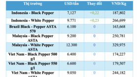 Giá tiêu hôm nay 12/11/2025: Giảm nhẹ ở Đắk Lắk