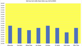 Giá heo hơi hôm nay 13/11/2025: Giảm rải rác ở miền Trung và miền Nam