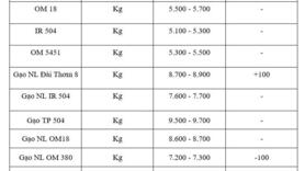 Giá lúa gạo hôm nay ngày 13/11: Gạo xuất khẩu biến động trái chiều