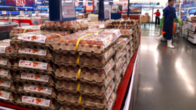 Doanh nghiệp chăn nuôi nội có vượt qua được ‘vòng vây’ khó khăn?