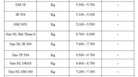 Giá lúa gạo hôm nay ngày 14/11: Gạo xuất khẩu bình ổn, lúa vững giá