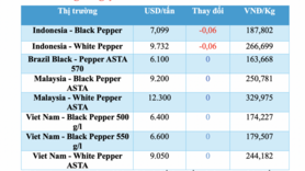 Giá tiêu hôm nay 14/11/2025: Tiêu nội địa giảm đồng loạt