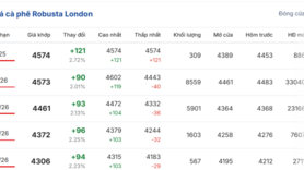 Giá cà phê hôm nay 19/11/2025: Trong nước bất ngờ tăng mạnh