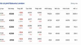 Giá cà phê hôm nay 24/11/2025: Thị trường chững lại