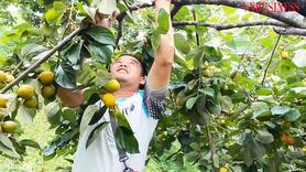Nông thôn mới là cơ hội làm giàu bền vững ở Lạng Sơn