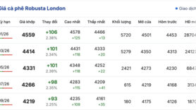 Giá cà phê hôm nay 26/11/2025: Giảm mạnh