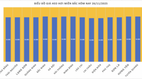 Giá heo hơi hôm nay 26/11/2025: Tăng giảm trái chiều