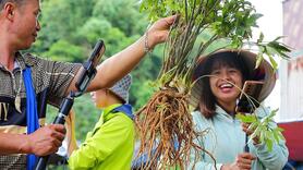 HTX chuyển đổi số từ gốc rễ