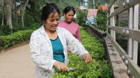 Đa hướng làm giàu trong xây dựng nông thôn mới ở Lạng Sơn