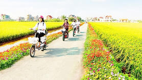 Khoa học kỹ thuật kết hợp tri thức bản địa trong xây dựng nông thôn mới ở Bắc Ninh