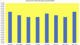 Giá heo hơi hôm nay 8/12/2025: Kéo dài đà tăng