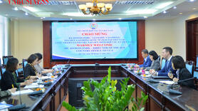 VCA và ILO tăng cường hợp tác, mở rộng hỗ trợ HTX trong giai đoạn mới