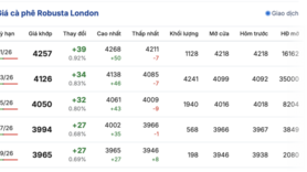 Giá cà phê hôm nay 10/12/2025: Giảm sâu