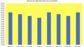Giá heo hơi hôm nay 11/12/2025: Tăng trở lại