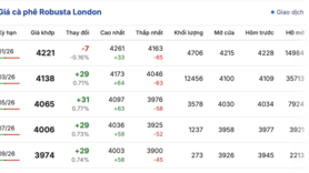 Giá cà phê hôm nay 11/12/2025: Tăng nhẹ 200 đồng