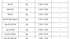 Giá lúa gạo hôm nay ngày 12/12: Gạo thơm neo giá cao, lúa giữ giá