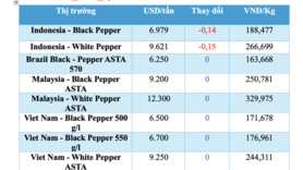 Giá tiêu hôm nay 17/12/2025: Tăng nhẹ