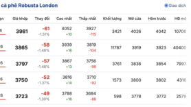 Giá cà phê hôm nay 17/12/2025: Tiếp tục giảm sâu