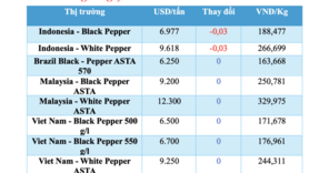 Giá tiêu hôm nay 18/12/2025: Cao nhất 150.000 đồng/kg