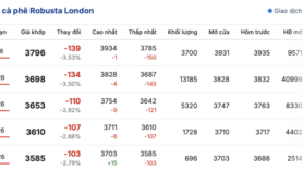Giá cà phê hôm nay 18/12/2025: Đồng loạt giảm mạnh