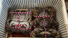 Cua lông Trung Quốc giảm giá sâu, bán tràn chợ Việt: Người nuôi trong nước nói gì?