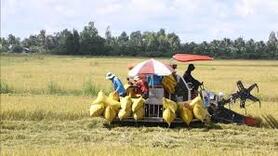 Năm 2025, ngành Nông nghiệp và Môi trường đạt và vượt 9/9 chỉ tiêu