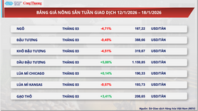 Giá bạc lập đỉnh kỷ lục ở mức 88,54 USD/ounce