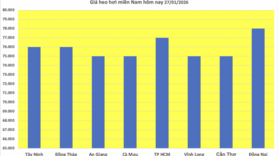Giá heo hơi hôm nay 27/1/2026: Tăng mạnh, miền Bắc lập 'đỉnh' mới