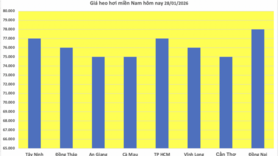 Giá heo hơi hôm nay 28/1/2026: Tiếp đà đi lên