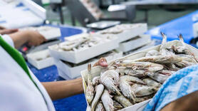 Thị trường EU/Anh giảm cầu: Doanh nghiệp xuất khẩu phải làm gì?