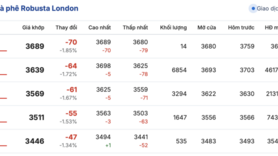 Giá cà phê hôm nay 27/2/2026: Tăng thêm 1.000 đồng/kg
