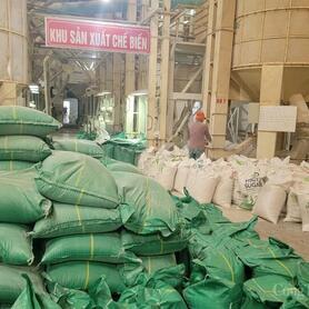 Cú huých cho sản xuất lúa gạo vùng Đồng bằng sông Cửu Long