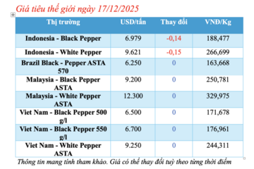 Giá tiêu hôm nay 17/12/2025: Tăng nhẹ