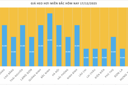 Giá heo hơi hôm nay 17/12/2025: Tiếp tục lập đỉnh mới 66.000 đồng/kg