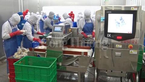 Hỗ trợ 1 tỷ đồng nguồn vốn khuyến công quốc gia cho xuất khẩu khoai lang tại Lâm Đồng