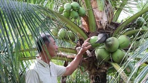 Xây dựng, phát triển bền vững các thương hiệu đặc sản Đồng bằng sông Cửu Long