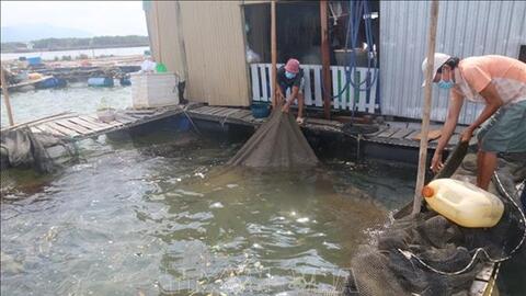 Bà Rịa-Vũng Tàu phát huy thế mạnh nuôi trồng thủy sản